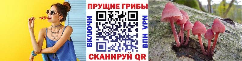 Псилоцибиновые грибы MAGIC MUSHROOMS  Купить где  Мезень 